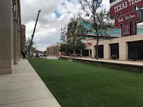 South Plains Turf - Photo 4 - Car repair in Lubbock, TX, Lubbock