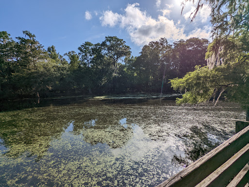 Wilderness Park Trout Creek Site