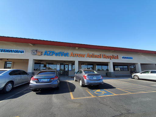 Arrow Animal Hospital PLC: Payton Willow DVM image
