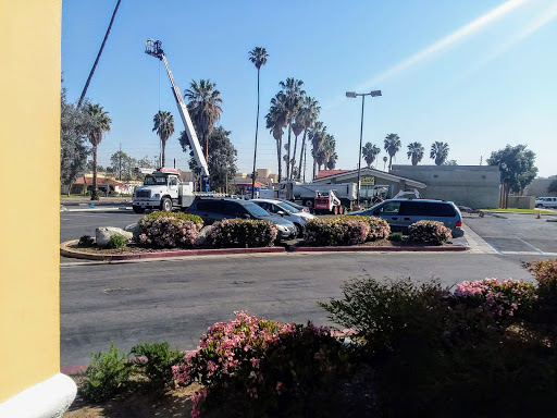 Discount Store «99 Cents Only Stores», reviews and photos, 11160 Magnolia Ave, Riverside, CA 92505, USA