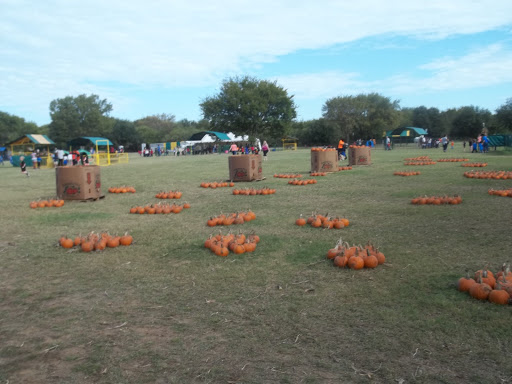 Day Care Center «Zion Kidz Academy & Learning Center», reviews and photos, 1004 N Jefferson St, Lancaster, TX 75146, USA