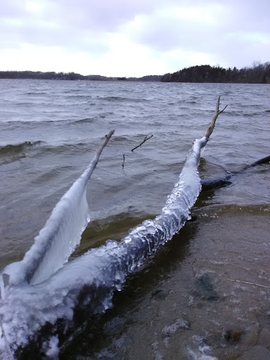 Nature Preserve «Lowry Nature Center», reviews and photos, 7025 Victoria Dr, Victoria, MN 55386, USA