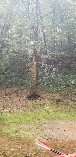 Canoe & Kayak Rental Service «Mammoth Cave Canoes & Kayak», reviews and photos, 1240 Old Mammoth Cave Rd, Cave City, KY 42127, USA