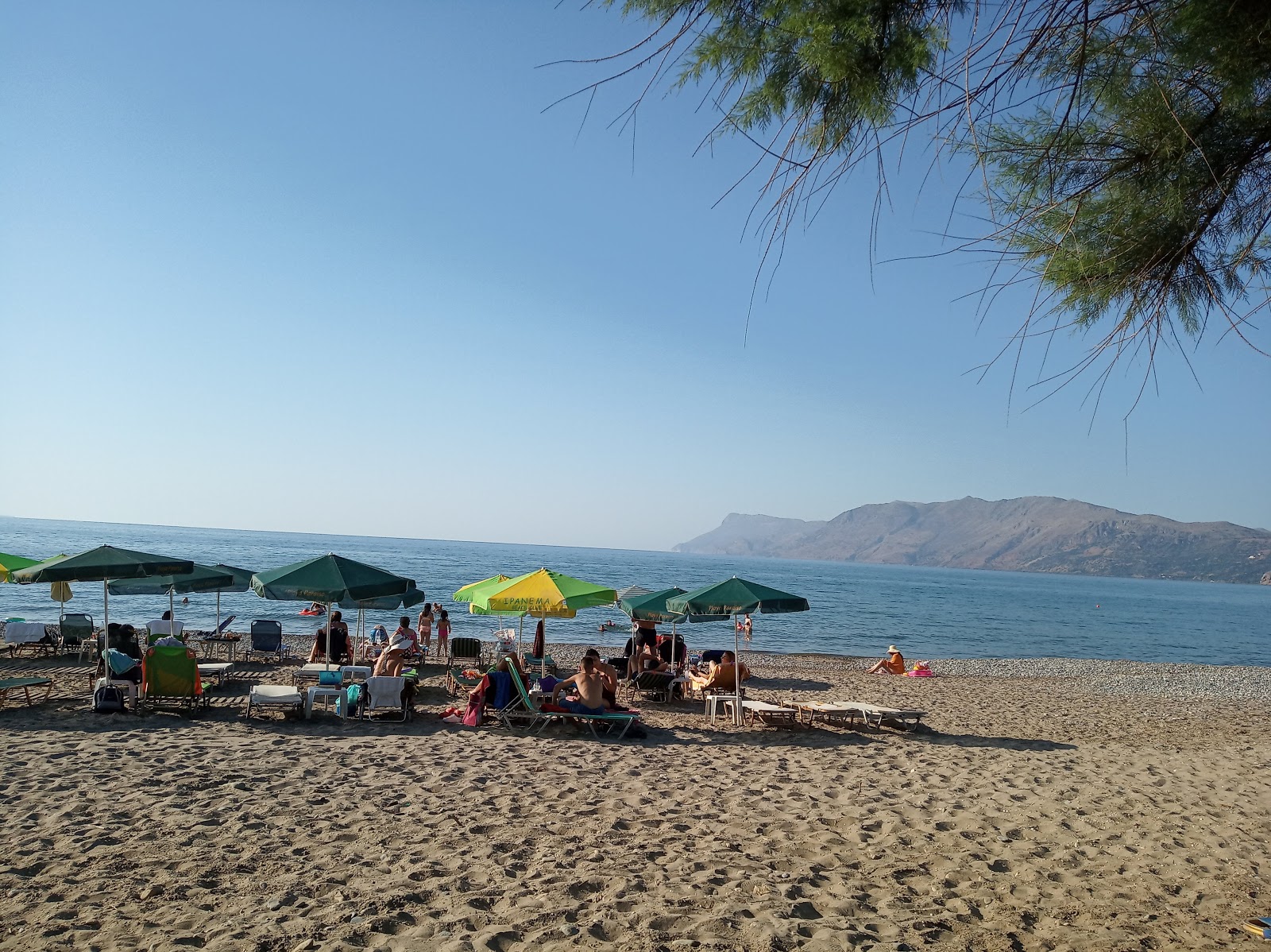 Φωτογραφία του Drapanias beach παροχές περιοχής