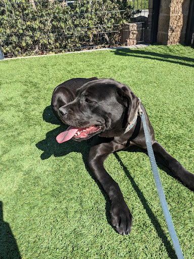 OC Animal Care image