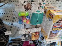 Petco - Photo 8 - Car repair in Stillwater, MN, St. Paul