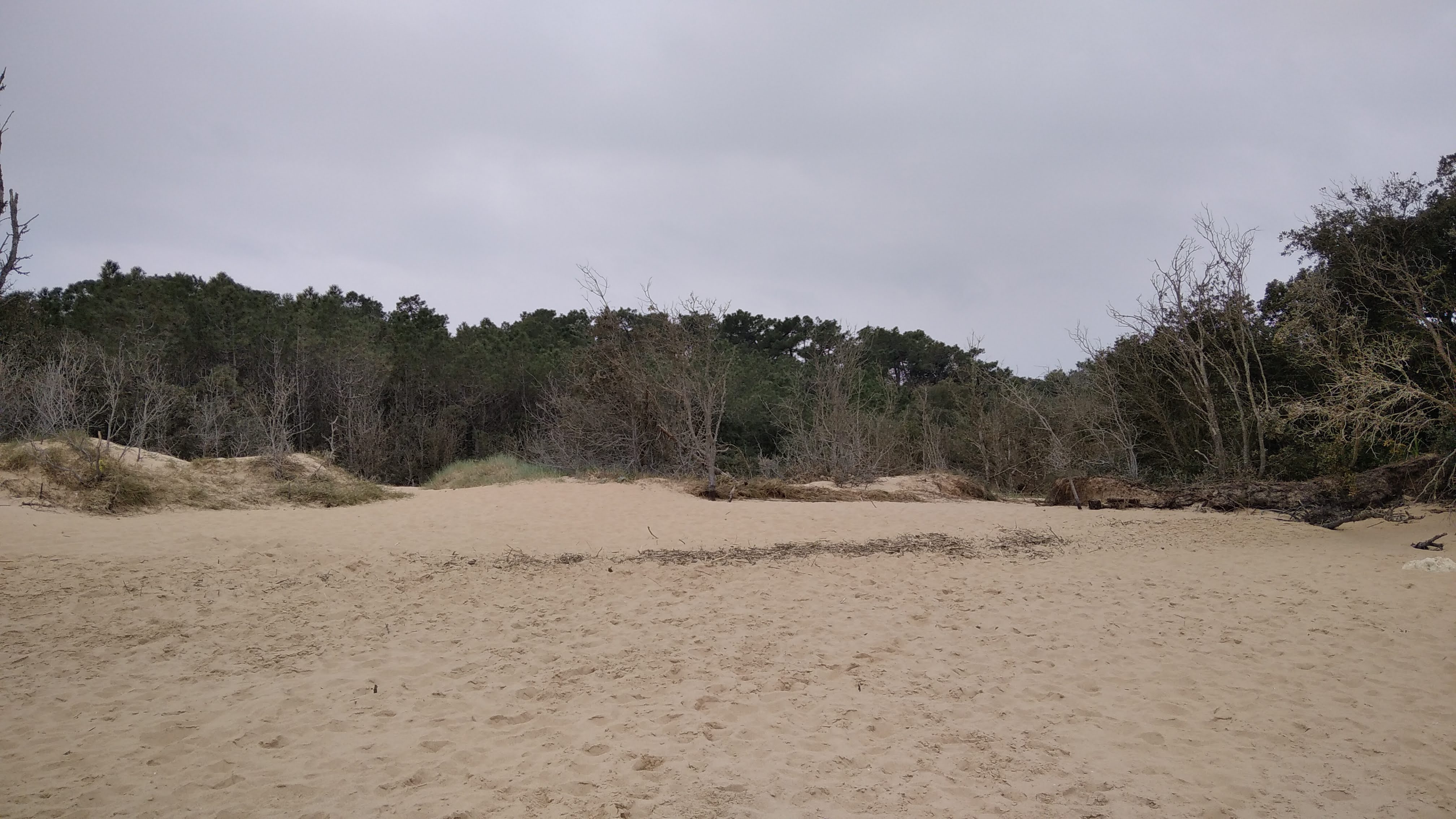 Photo n° 10 de l'avis de Patrick.o fait le 31/07/2019 à 20:03
