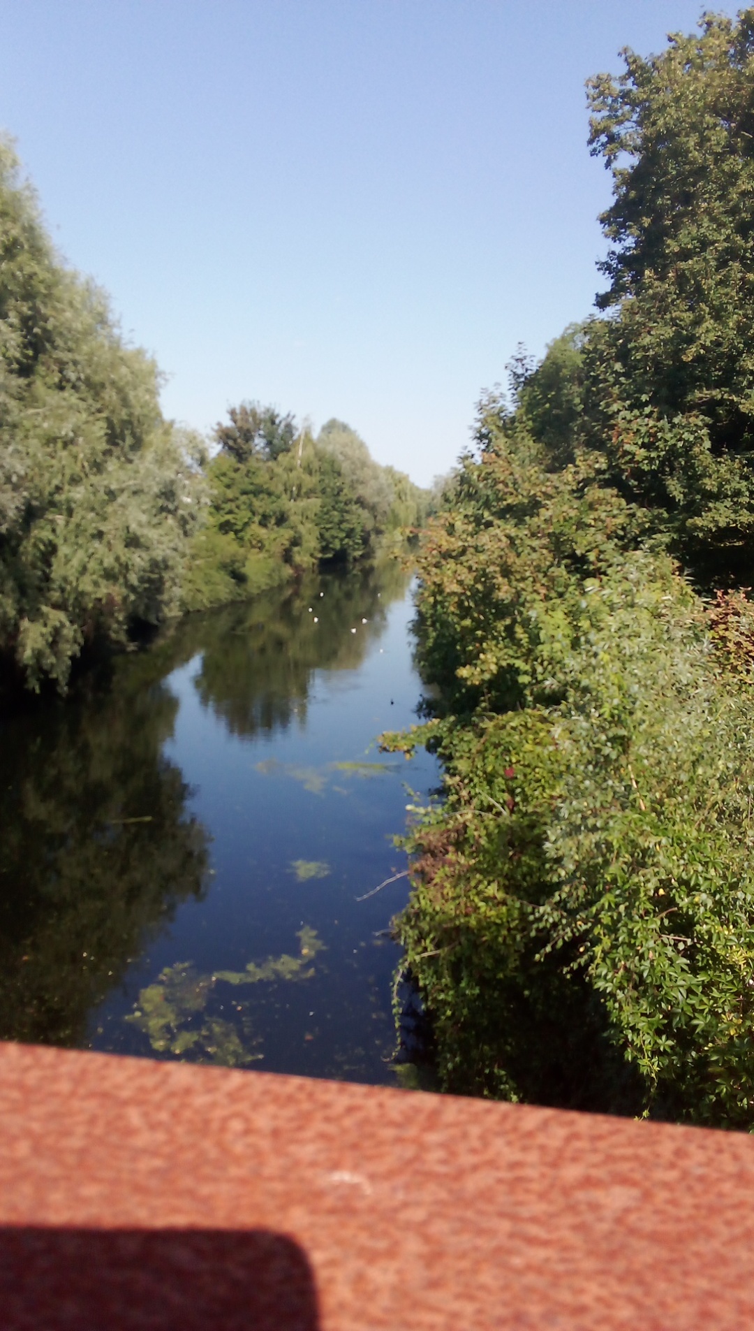 Photo n° 1 de l'avis de Armelle.a fait le 10/09/2023 à 16:33