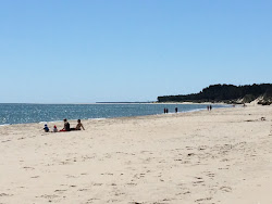 Curracloe Beach'in fotoğrafı vahşi alan