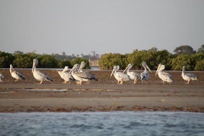 Parque nacional del Banco de Arguin