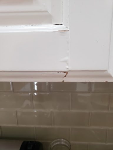 Painter «Chameleon Painting LLC», reviews and photos, 6154 E Carriage Park Cir, Murray, UT 84121, USA