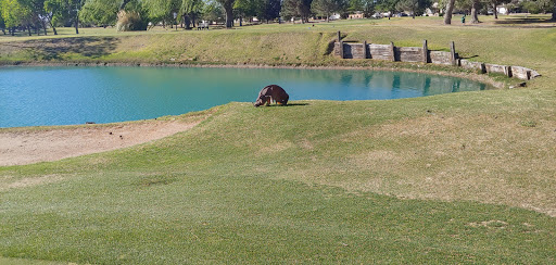 Golf Club «Lone Star Golf Club», reviews and photos, 1510 Hawkins Boulevard, El Paso, TX 79925, USA