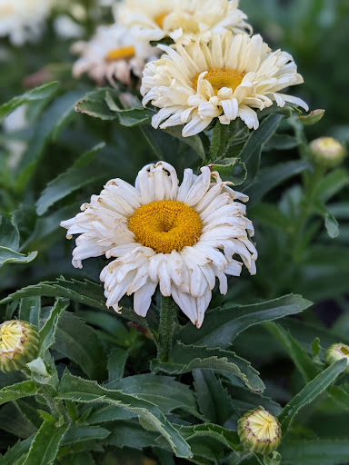 Home Improvement Store «The Home Depot», reviews and photos, 9051 Snowden River Pkwy, Columbia, MD 21046, USA