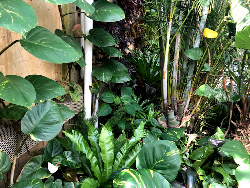 Gift Shop «Meijer Gardens Gift Shop», reviews and photos, 1000 E Beltline Ave NE, Grand Rapids, MI 49525, USA