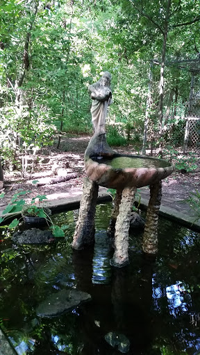 Non-Profit Organization «Nature Discovery Center», reviews and photos, 7112 Newcastle St, Bellaire, TX 77401, USA