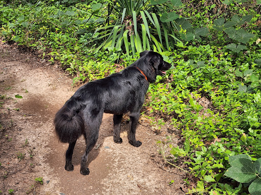 Pet Supply Store «Petco Animal Supplies», reviews and photos, 3401 Pineville-Matthews Rd, Charlotte, NC 28226, USA