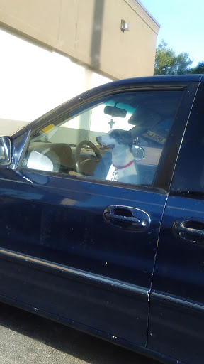 Discount Store «Dollar General Market», reviews and photos, 100 Palmetto St, Poinciana, FL 34759, USA