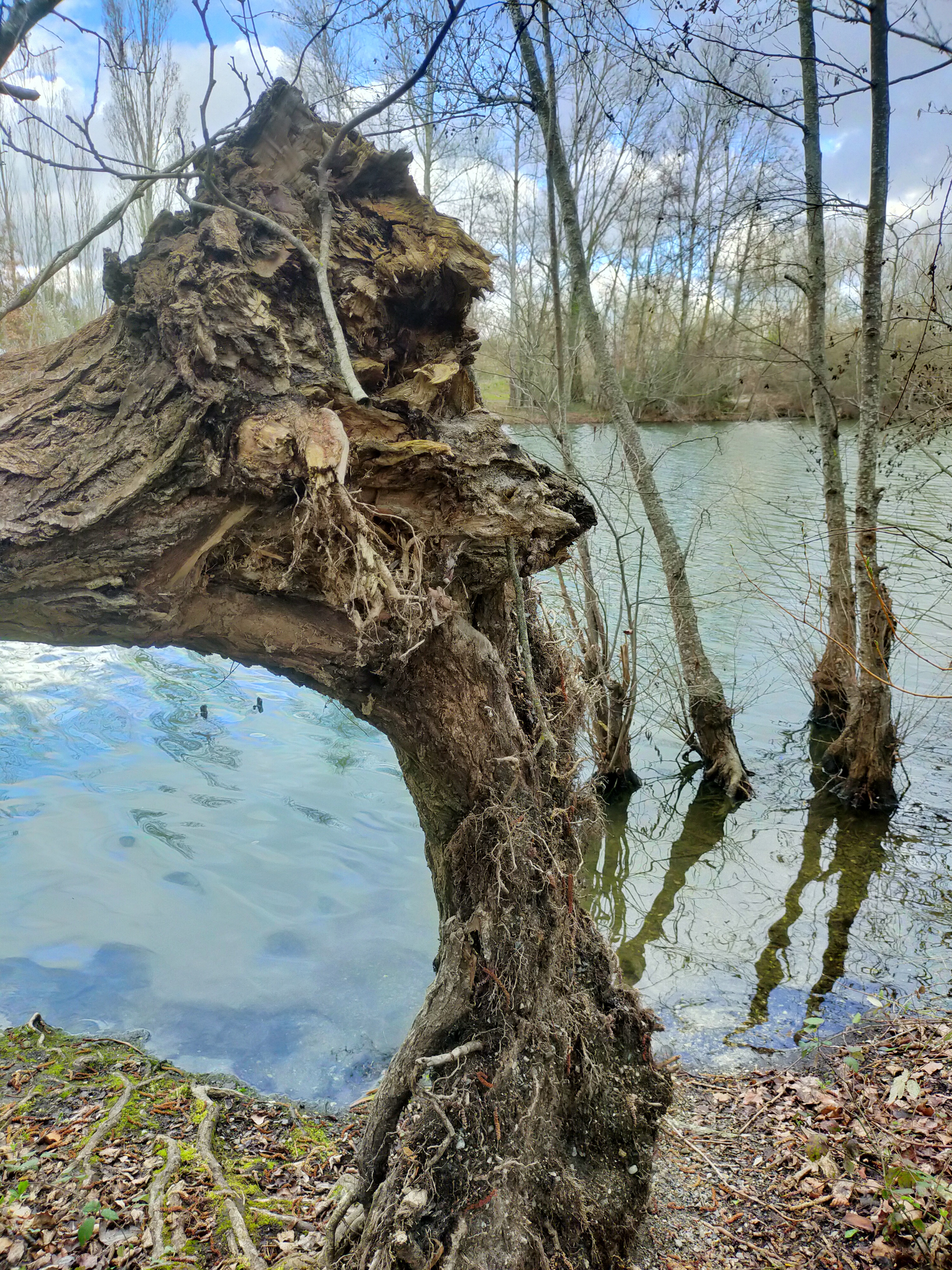 Photo n° 7 de l'avis de Domie.u fait le 13/03/2022 à 17:39