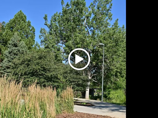 Park «Harvey Park», reviews and photos, 2120 S Tennyson Way, Denver, CO 80219, USA