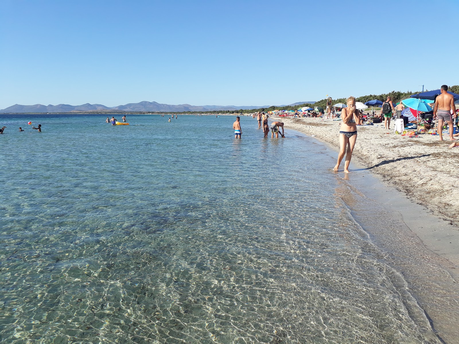 Fotografija Divji veter Plaža Sardinija udobje območja