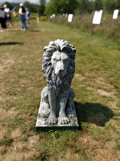 Tourist Attraction «Sussex County Sunflower Maze», reviews and photos, 101 Co Rd 645, Sandyston, NJ 07826, USA