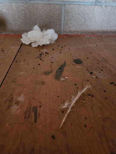 Storage Facility «Extra Space Storage», reviews and photos, 6667 Van Buren Boulevard, Riverside, CA 92503, USA