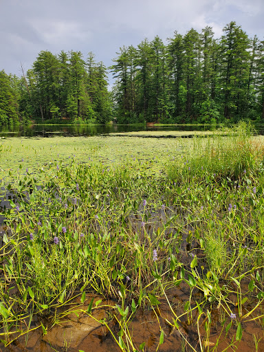 Community Center «Wason Pond Community Center, Chester NH», reviews and photos, 603 Raymond Rd, Chester, NH 03036, USA