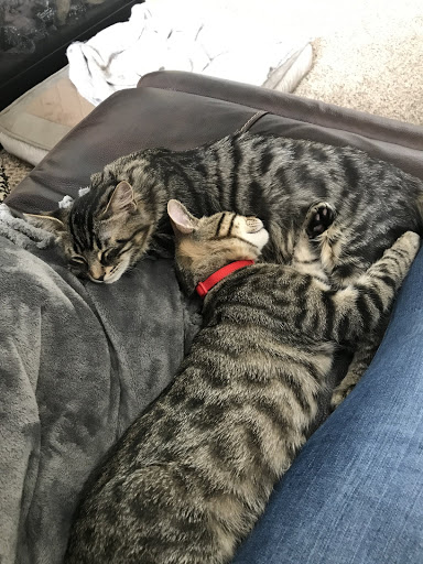 18577 Natchez Ave, Prior Lake, MN 55372, USA