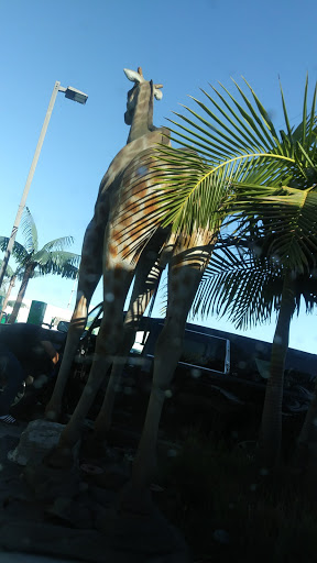 Car Wash «Green Forest Car Wash», reviews and photos, 4649 W Rosecrans Ave, Hawthorne, CA 90250, USA