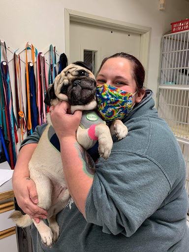 Fairwood Animal Hospital image