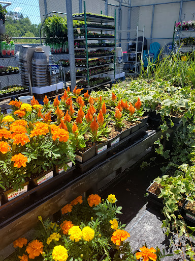 Discount Store «Walmart», reviews and photos, 285 N Plainfield Rd, West Lebanon, NH 03784, USA