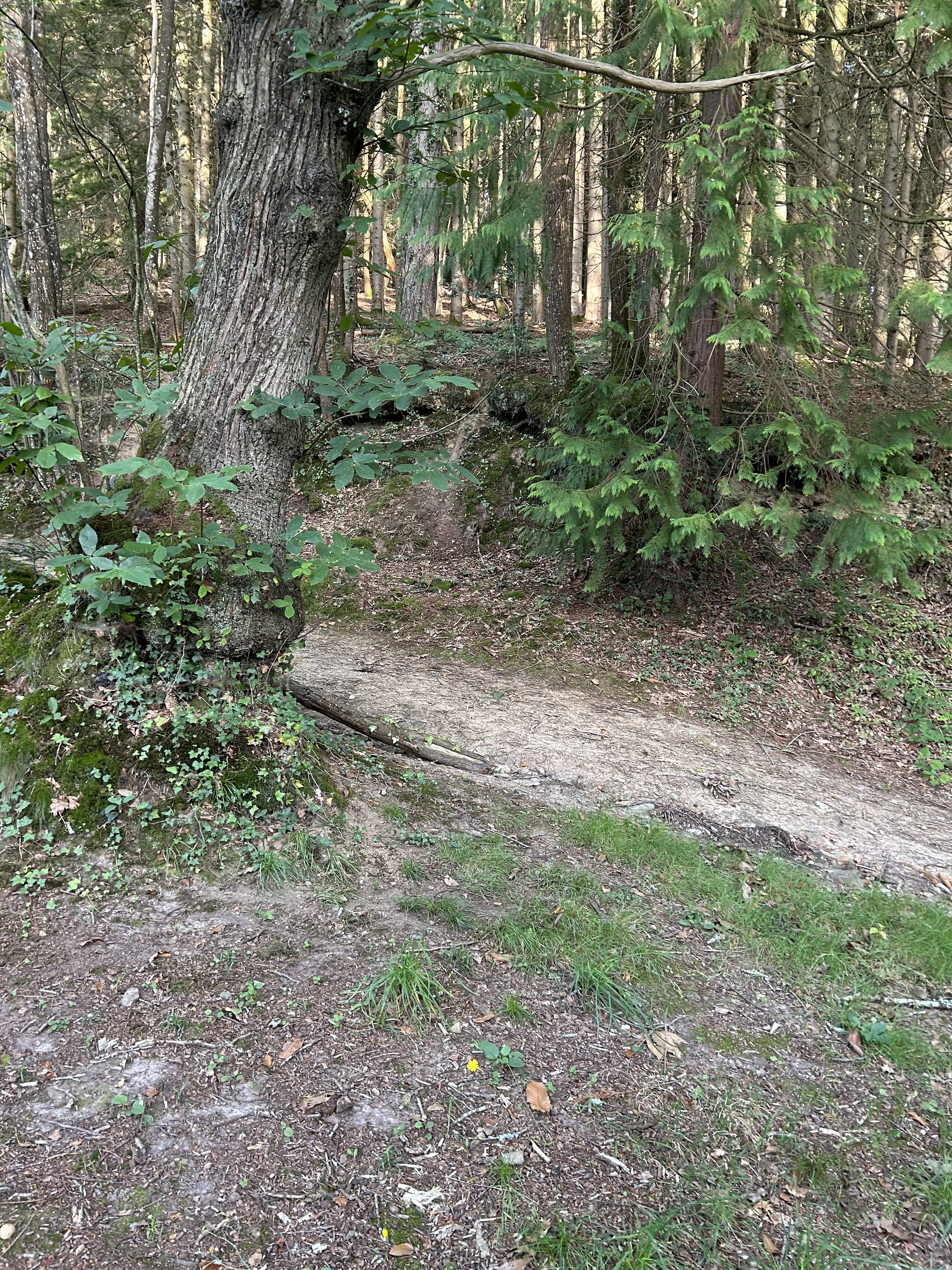 Photo n° 8 de l'avis de Fab.a fait le 15/08/2023 à 20:25