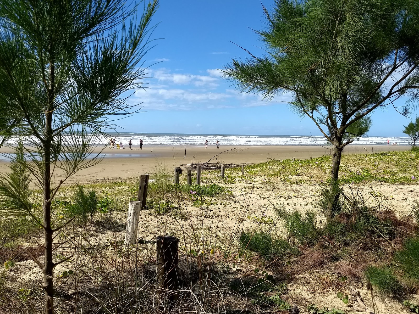 Foto av Praia de Albatroz med lång rak strand