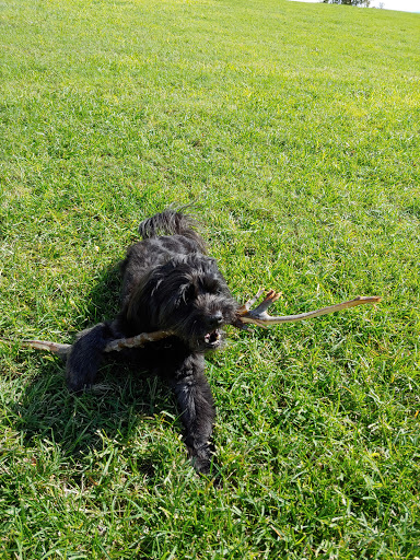 Park «Discovery Park», reviews and photos, 2214 E Pecos Rd, Gilbert, AZ 85297, USA