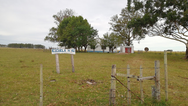 Escuela Nº 42 "Higueras de Carpintería"