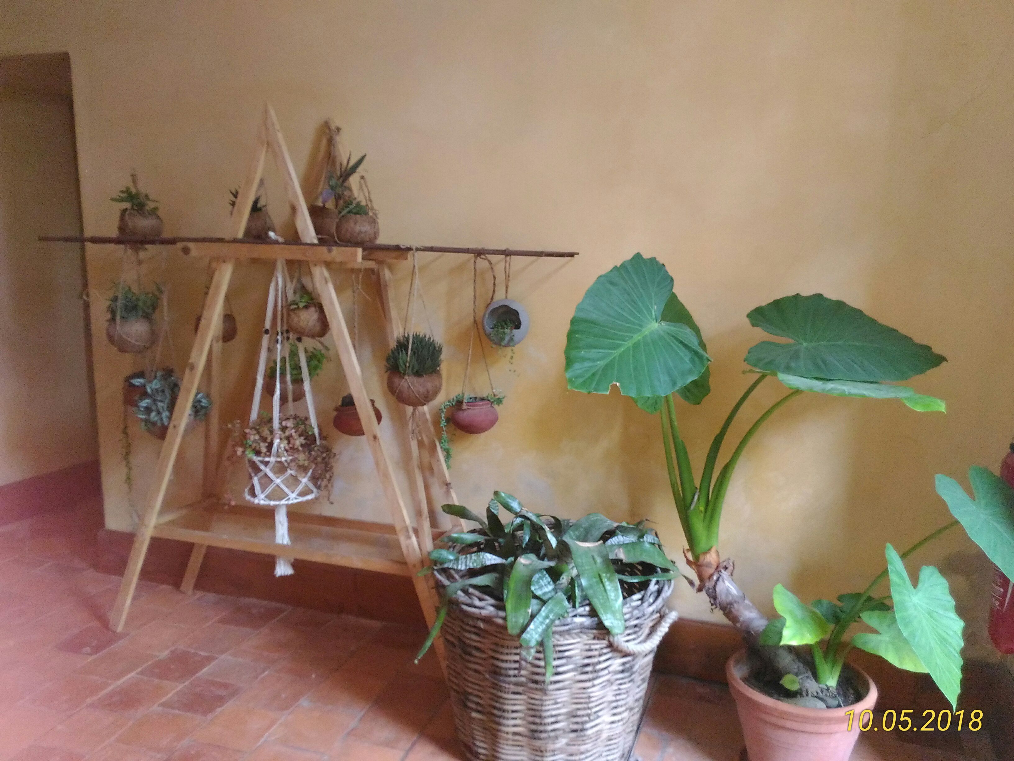 Photo n° 38 de l'avis de Marie.a fait le 13/05/2018 à 06:32