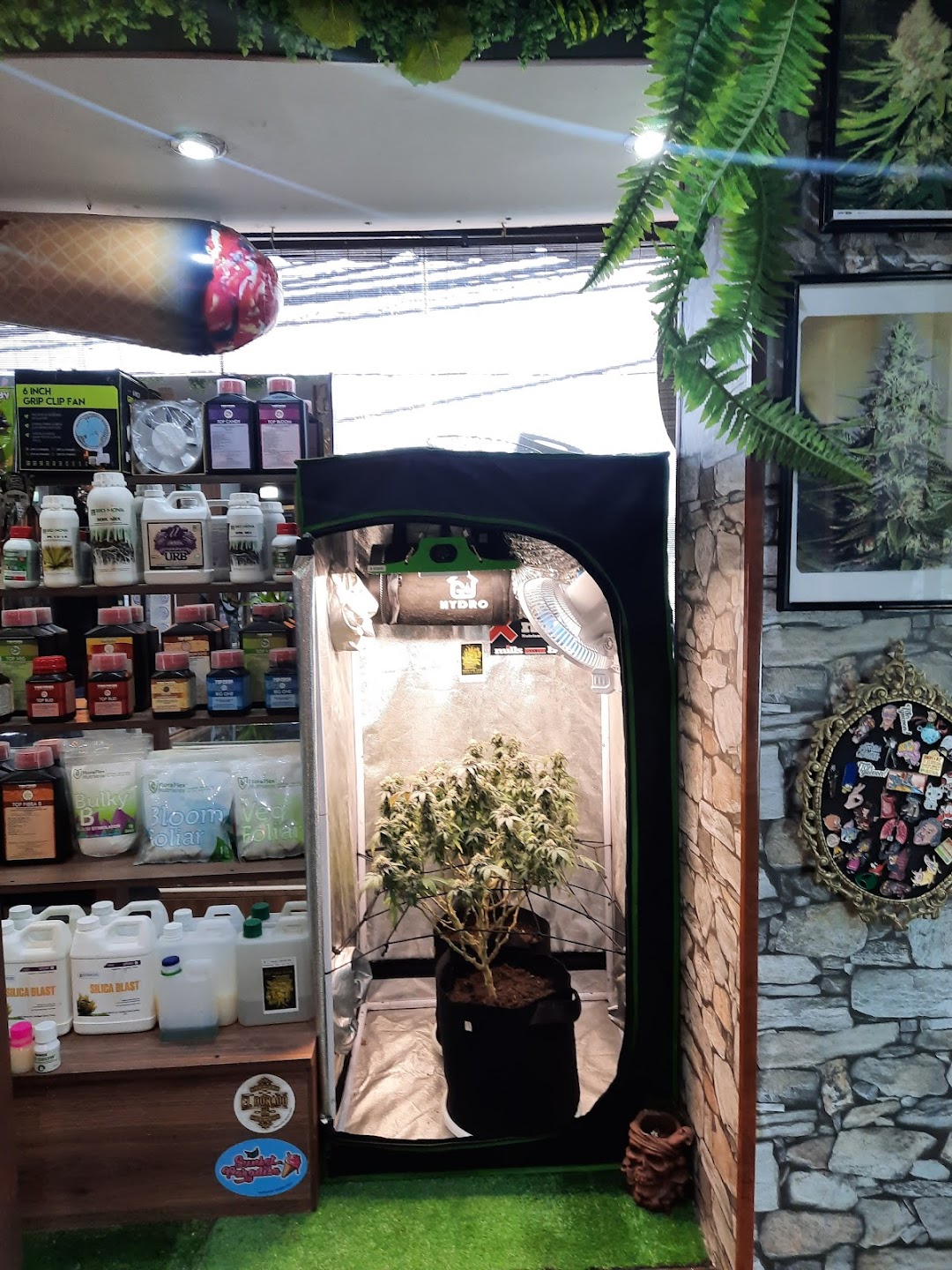 Weed & Love Grow Shop Bogotá