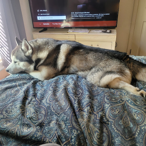 Pet Supply Store «Petco Animal Supplies», reviews and photos, 855 E Bidwell St, Folsom, CA 95630, USA