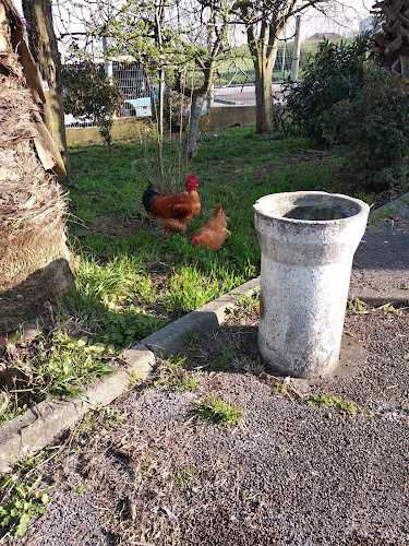 Avaliações doEscola Secundária José Cardoso Pires em Loures - Escola