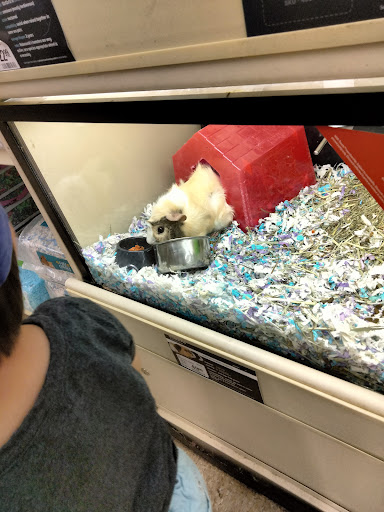 Pet Supply Store «PetSmart», reviews and photos, 1386 Atwood Ave, Johnston, RI 02919, USA