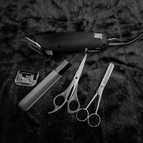 Barber Shop «House of Cuts Barber Shop & Beauty Salon», reviews and photos, 3653 E Tremont Ave, Bronx, NY 10465, USA