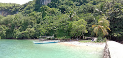 Foto di Campomanes Bay Beach e l'insediamento