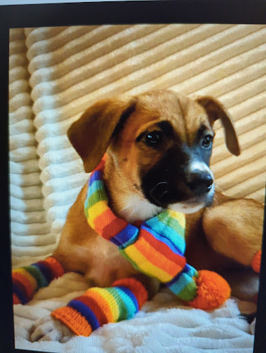 Home Improvement Store «The Home Depot», reviews and photos, 4100 N 124th St, Wauwatosa, WI 53222, USA