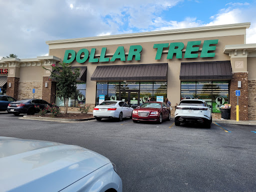 Dollar Store «Dollar Tree», reviews and photos, 4959 Bill Gardner Pkwy Ste 107, Locust Grove, GA 30248, USA