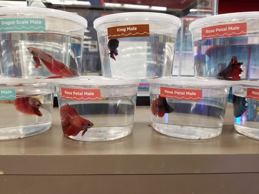 Pet Supply Store «Petco Animal Supplies», reviews and photos, 4167 Cheshire Station Plaza, Dale City, VA 22193, USA