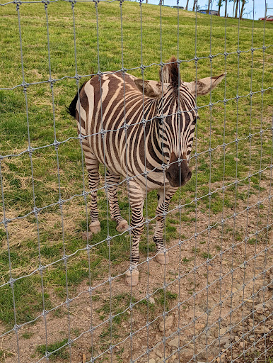 Park «Lake Tobias Wildlife Park», reviews and photos, 760 Tobias Road, Halifax, PA 17032, USA