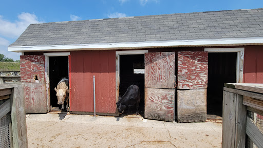 Social Services Organization «Lambs Farm», reviews and photos, 14245 W Rockland Rd, Libertyville, IL 60048, USA