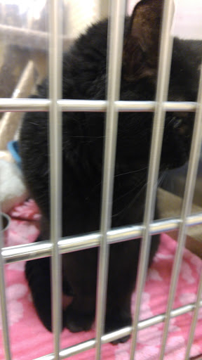 Pet Supply Store «PetSmart», reviews and photos, 711 US-41, Schererville, IN 46375, USA