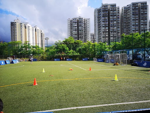 Chelsea Soccer Pitch