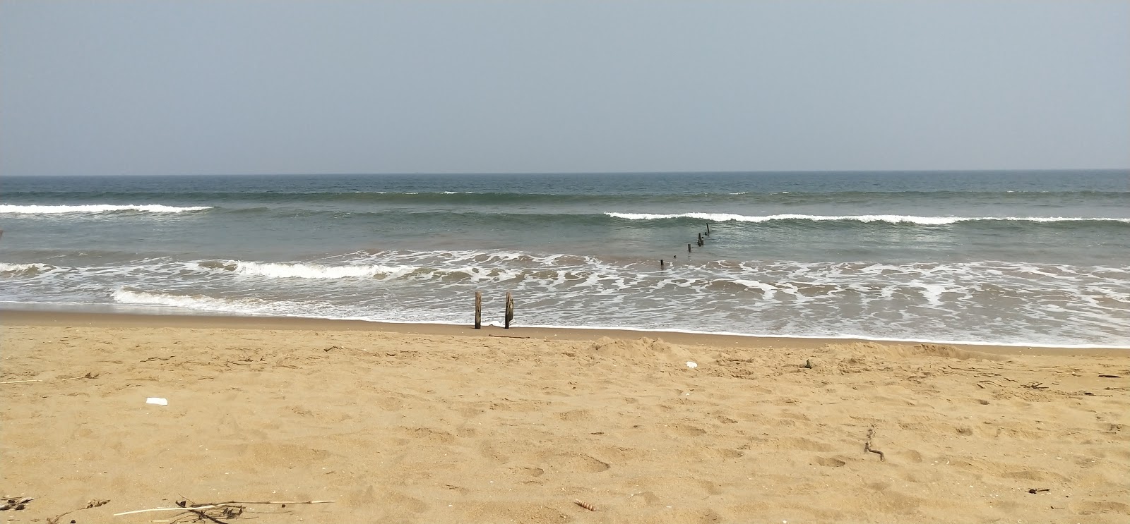 Koduru Beach的照片 具有部分干净级别的清洁度